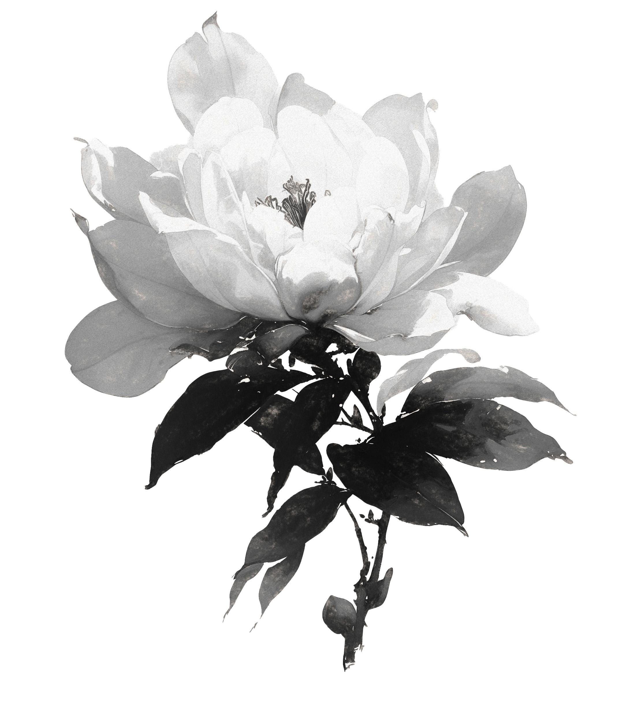 botanical-quick-filter-image